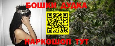 спиды Сланцы