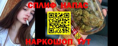 спиды Сланцы