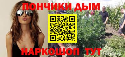 спиды Сланцы