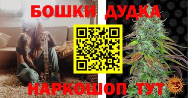 спиды Сланцы