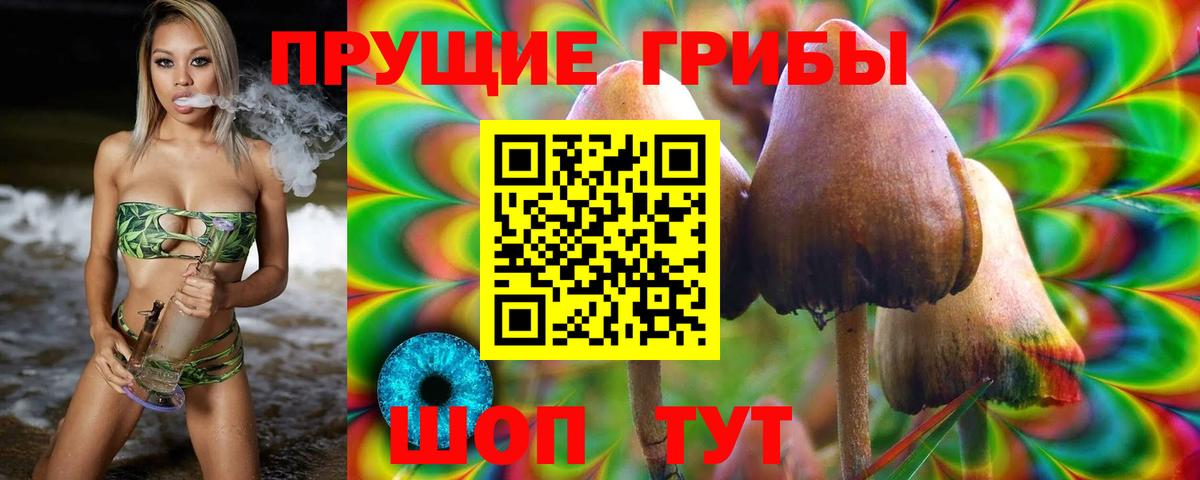 Псилоцибиновые грибы прущие грибы  Вход с VPN  Норильск  Псилоцибиновые грибы Cubensis 